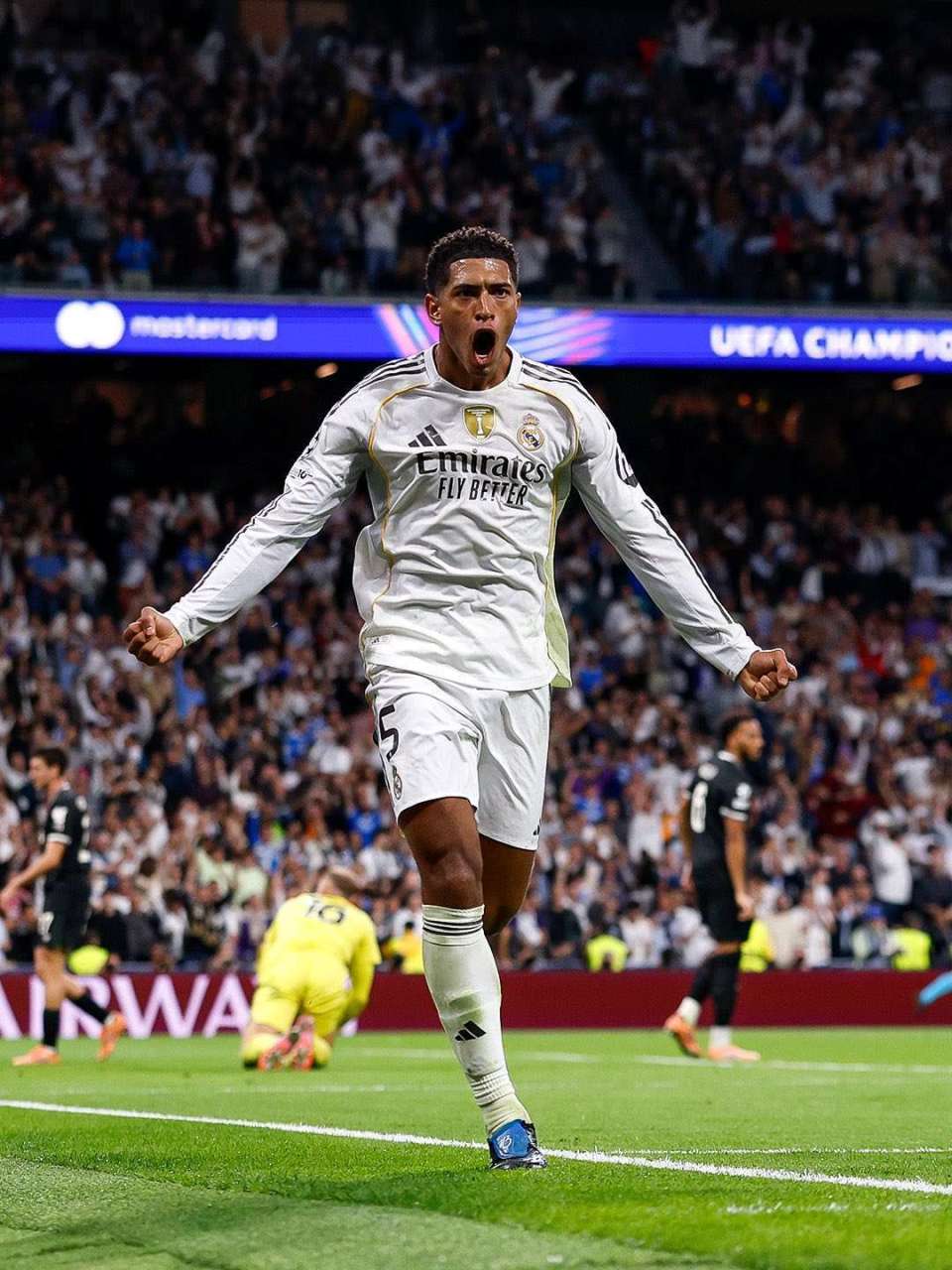 这些精彩的, 浪费了很多 这些精彩的, 浪费了很多