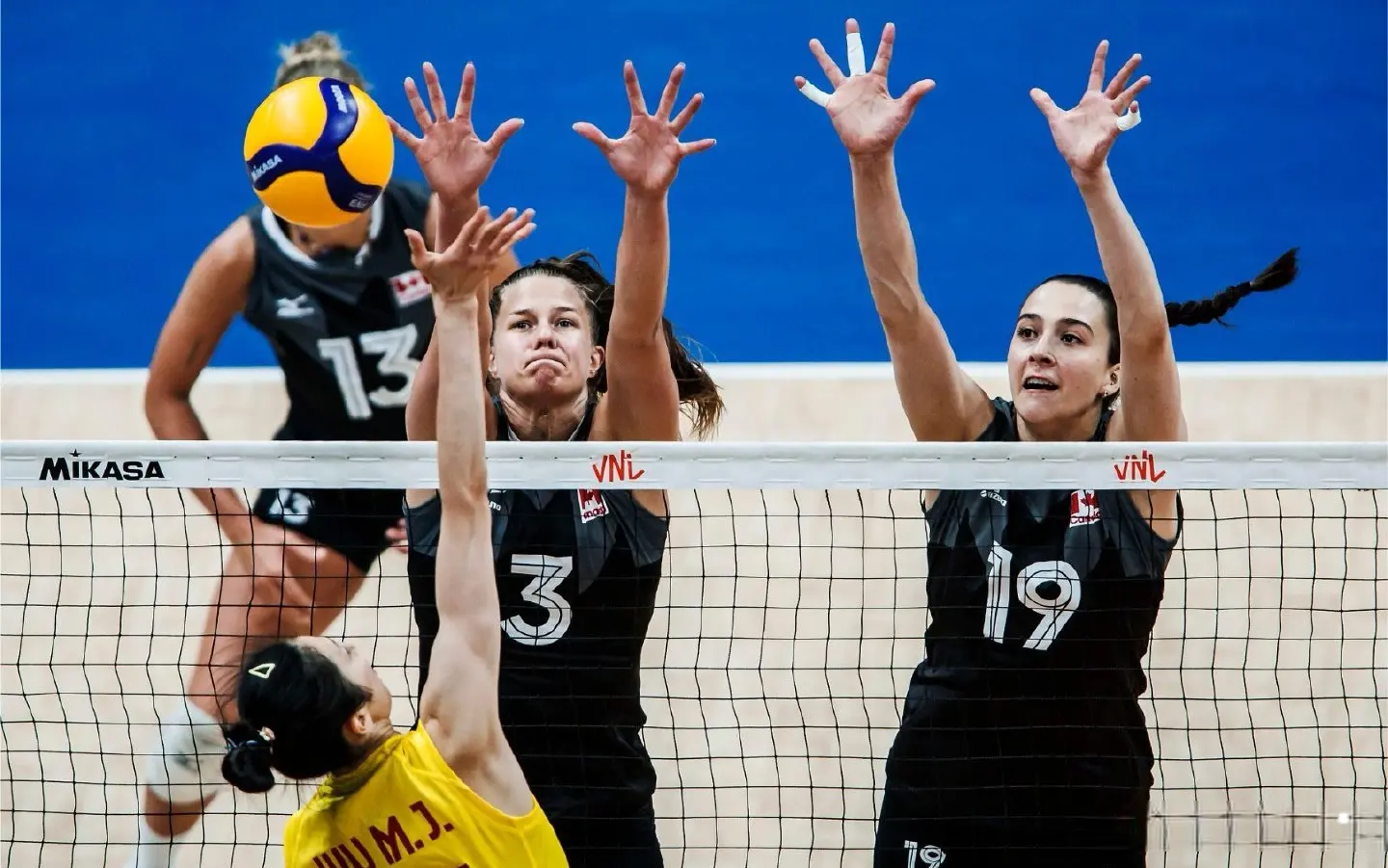 大的副攻马 大的副攻马