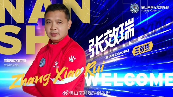 教练生涯 教练生涯